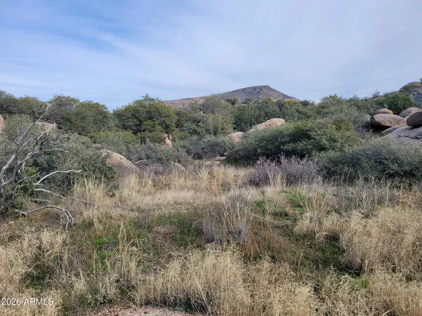 a view of a field of grass and trees