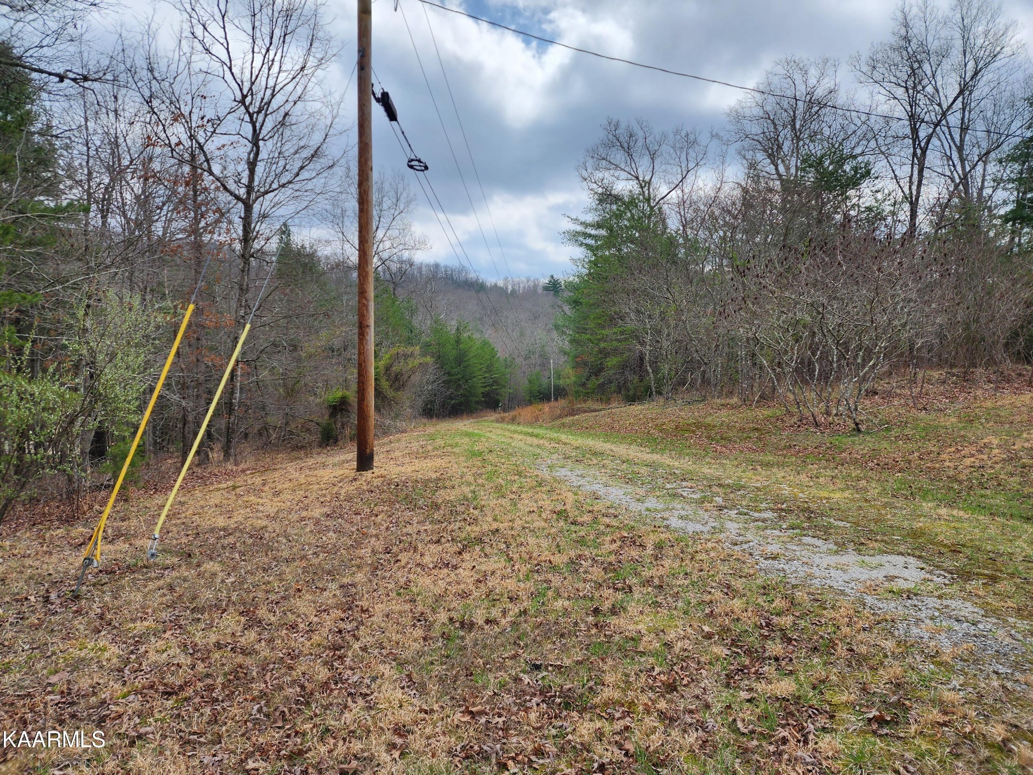215 Hensley Road Deer Lodge, TN 37726 - Photo 3 of 29 a backyard of a house