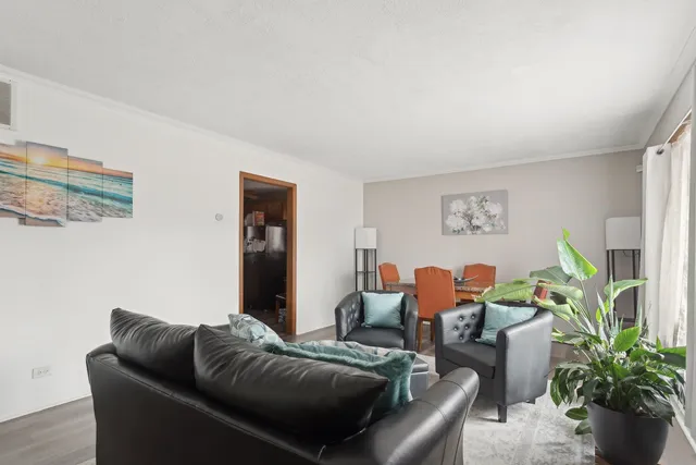 a living room with furniture flowerpot and a potted plant