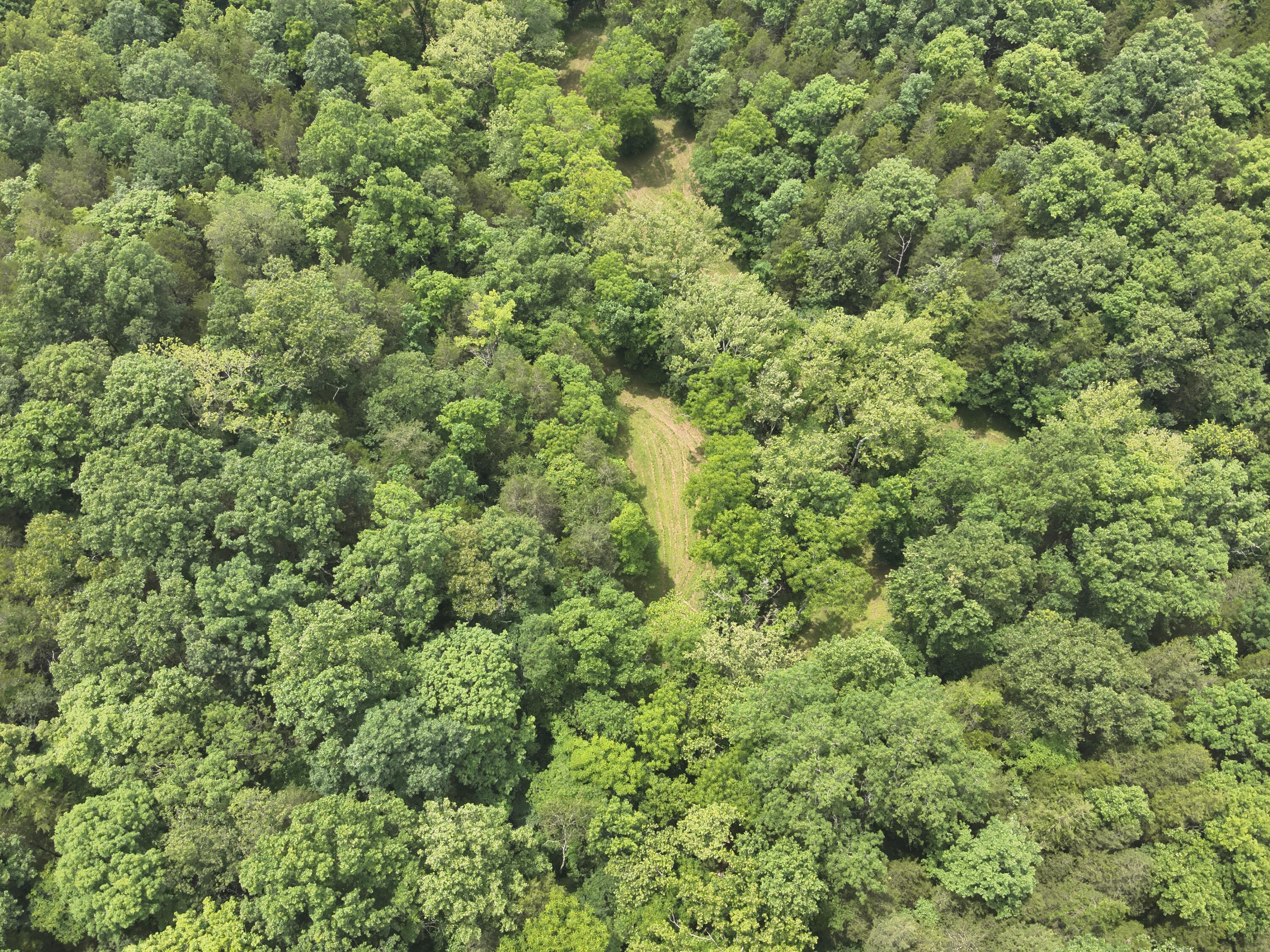 0 Kelly Ridge Road Irvine, KY 40336 - Photo 24 of 39 DJI_20260625135534_0009_V