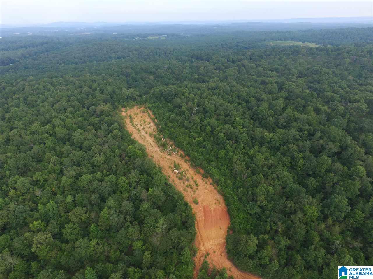 0 Morris Farms Drive Riverside, AL 35135 - Photo 18 of 18