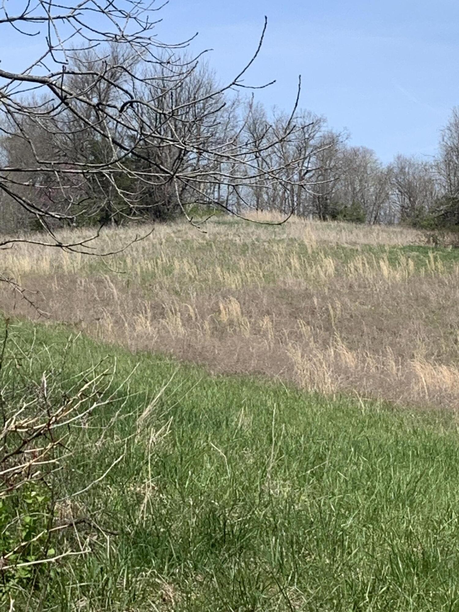 1000 Britton Road Harrodsburg, KY 40330 - Photo 36 of 88 2C3CBCEA-CBA0-4B5B-8C08-5413EBB8BDC5