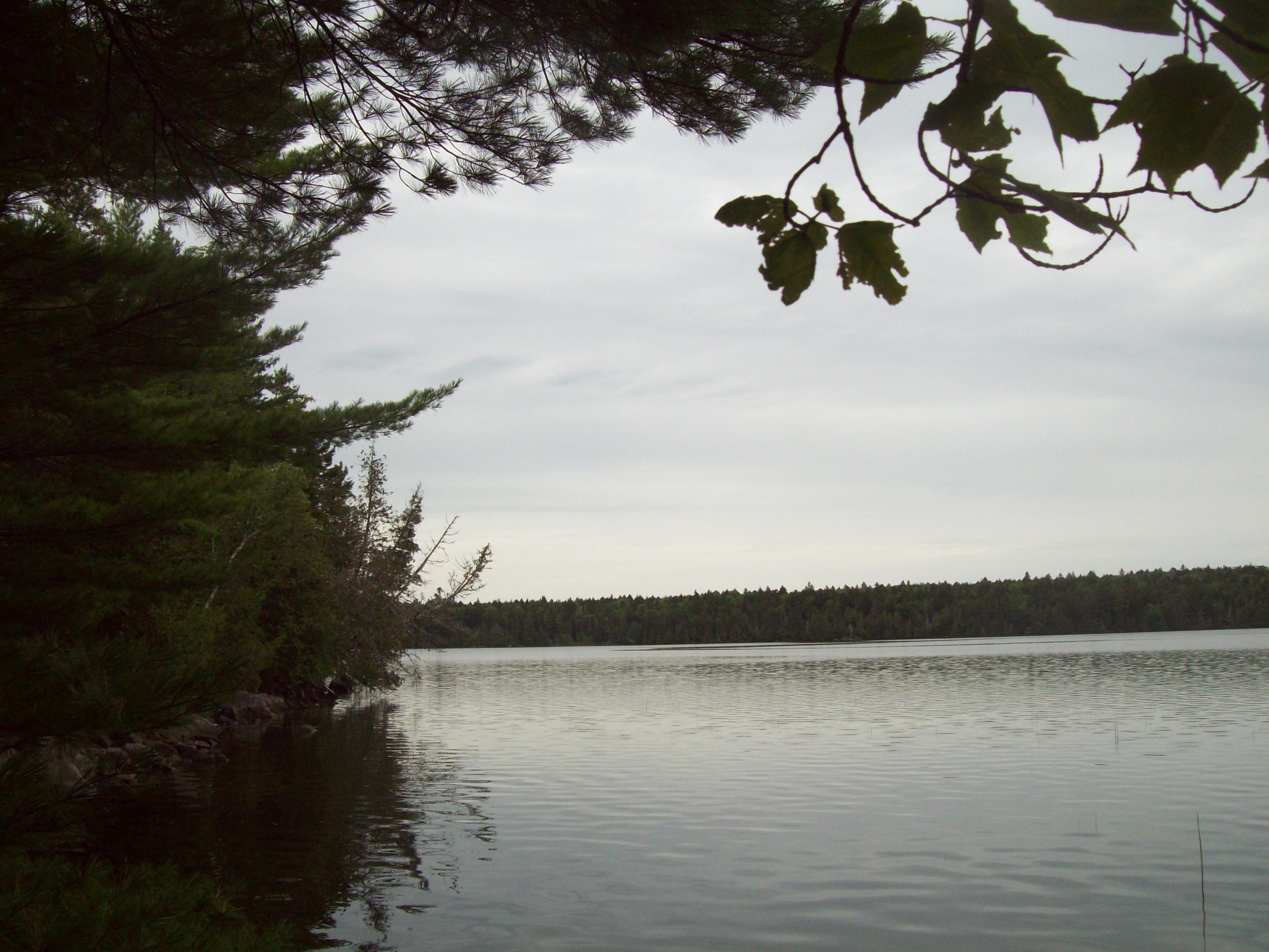 Tbd Lot 9 Tbd Road Cooper, ME 04657 - Photo 9 of 15 100_1096