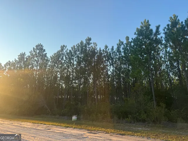 $90,000 | 0 Perch Creek Trail, Millwood, GA 31552