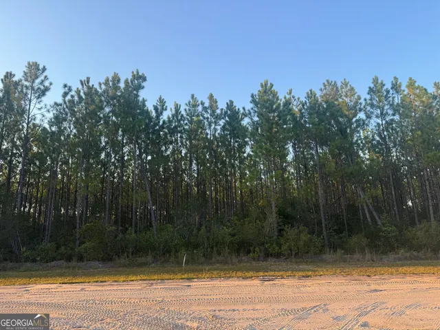 $90,000 | 0 Perch Creek Trail, Millwood, GA 31552