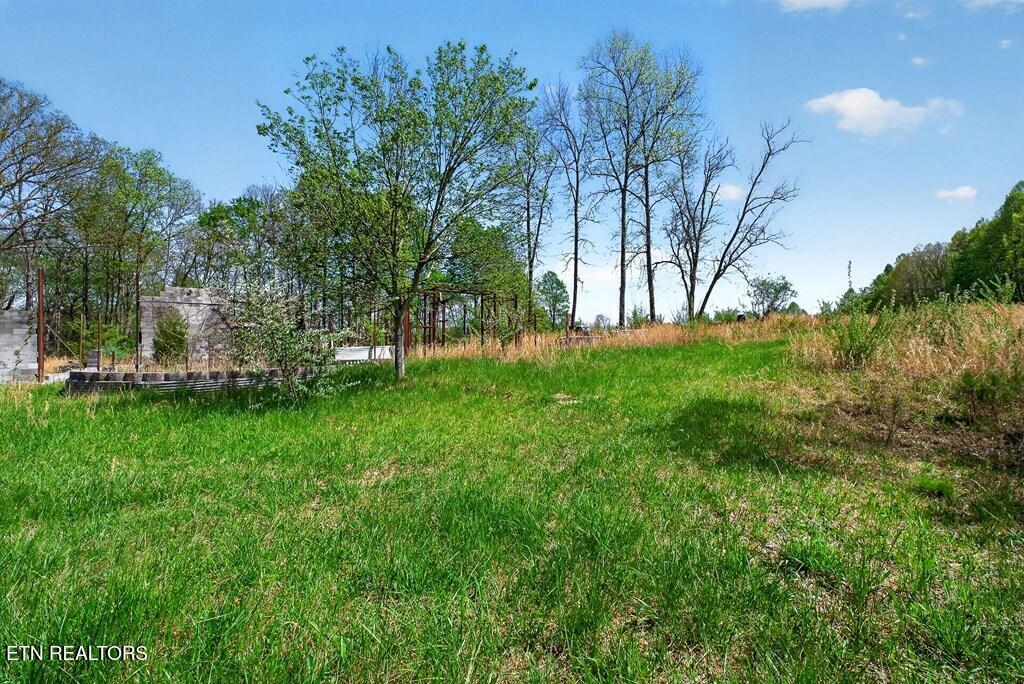 4877 Eastland Road Sparta, TN 38583 - Photo 8 of 23 CAR8