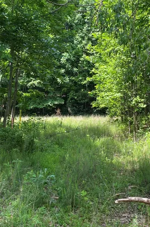 $100,000 | 199 Cherry Hill, Unit NONE, Mill Spring, NC 28756