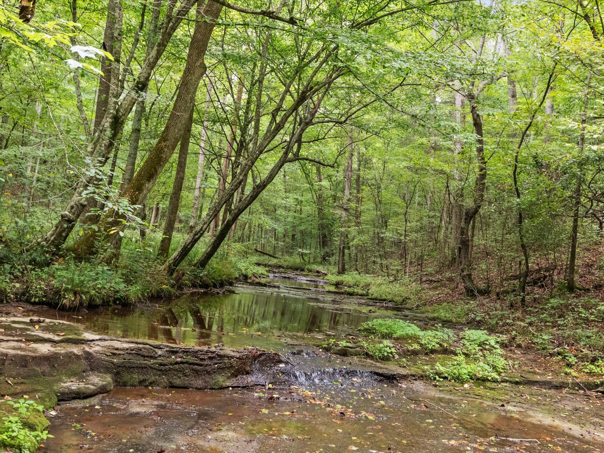775 Coaling Road Charlotte, TN 37036 - Photo 15 of 50