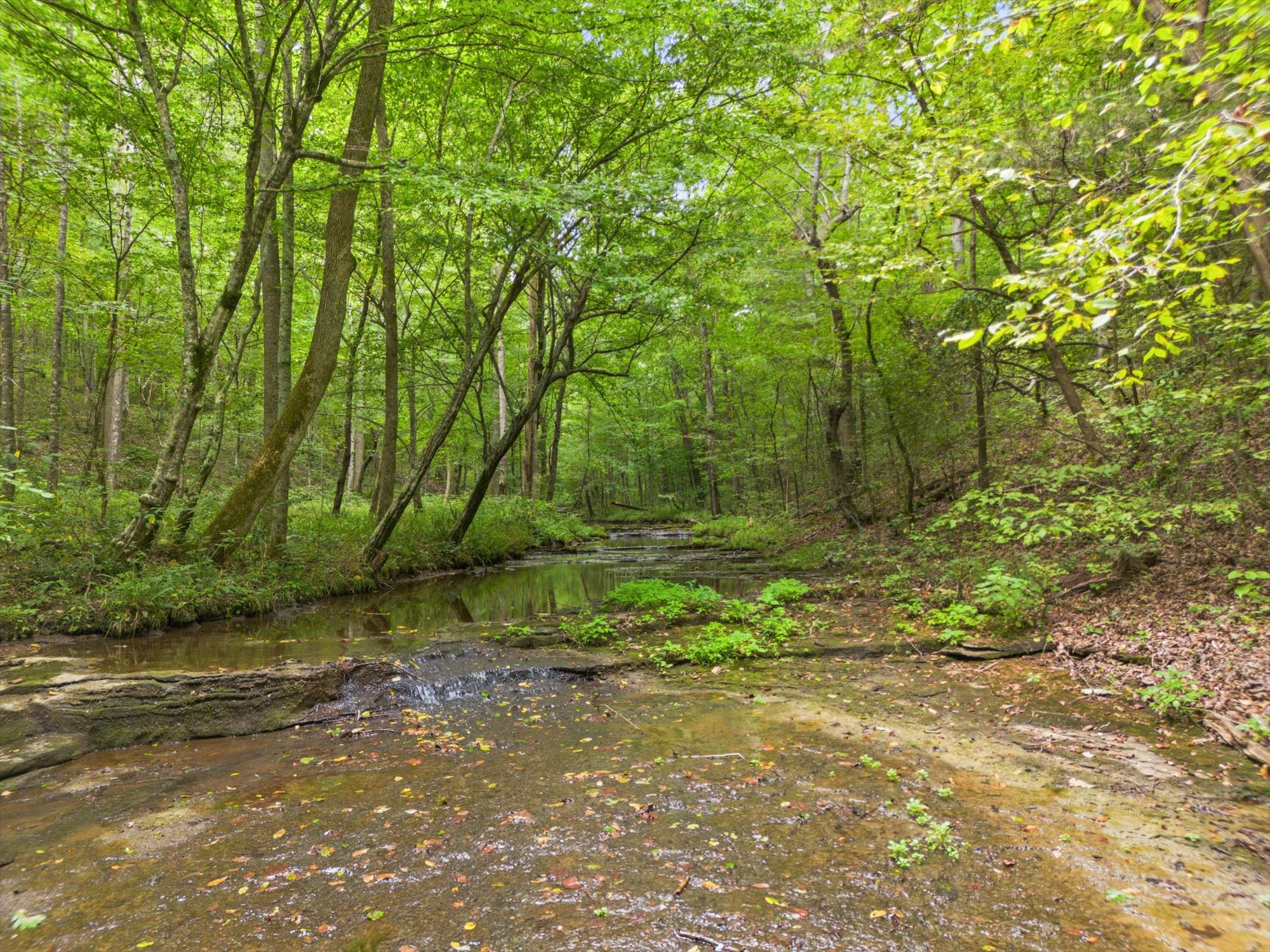 775 Coaling Road Charlotte, TN 37036 - Photo 16 of 50