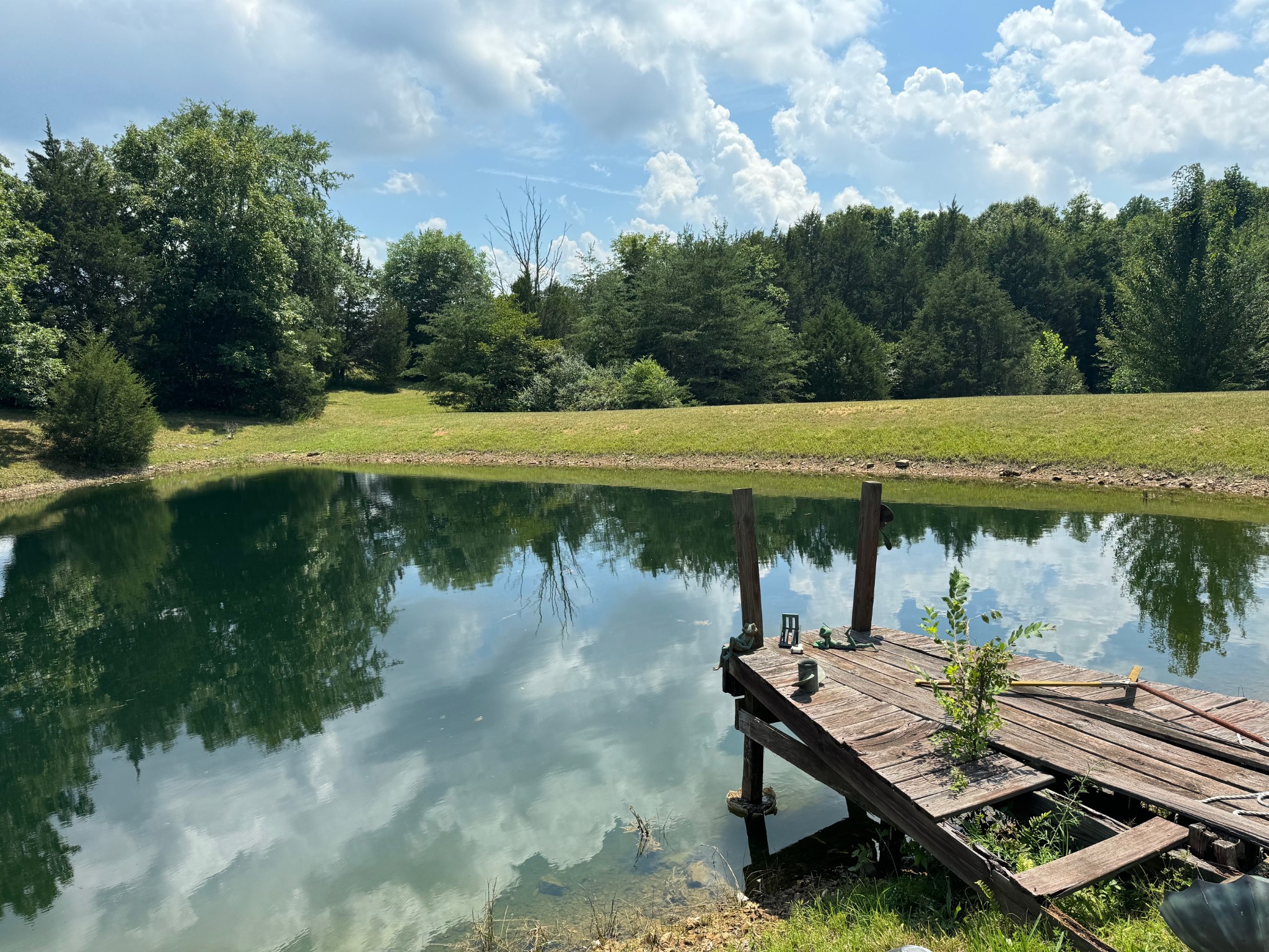 775 Coaling Road Charlotte, TN 37036 - Photo 4 of 50