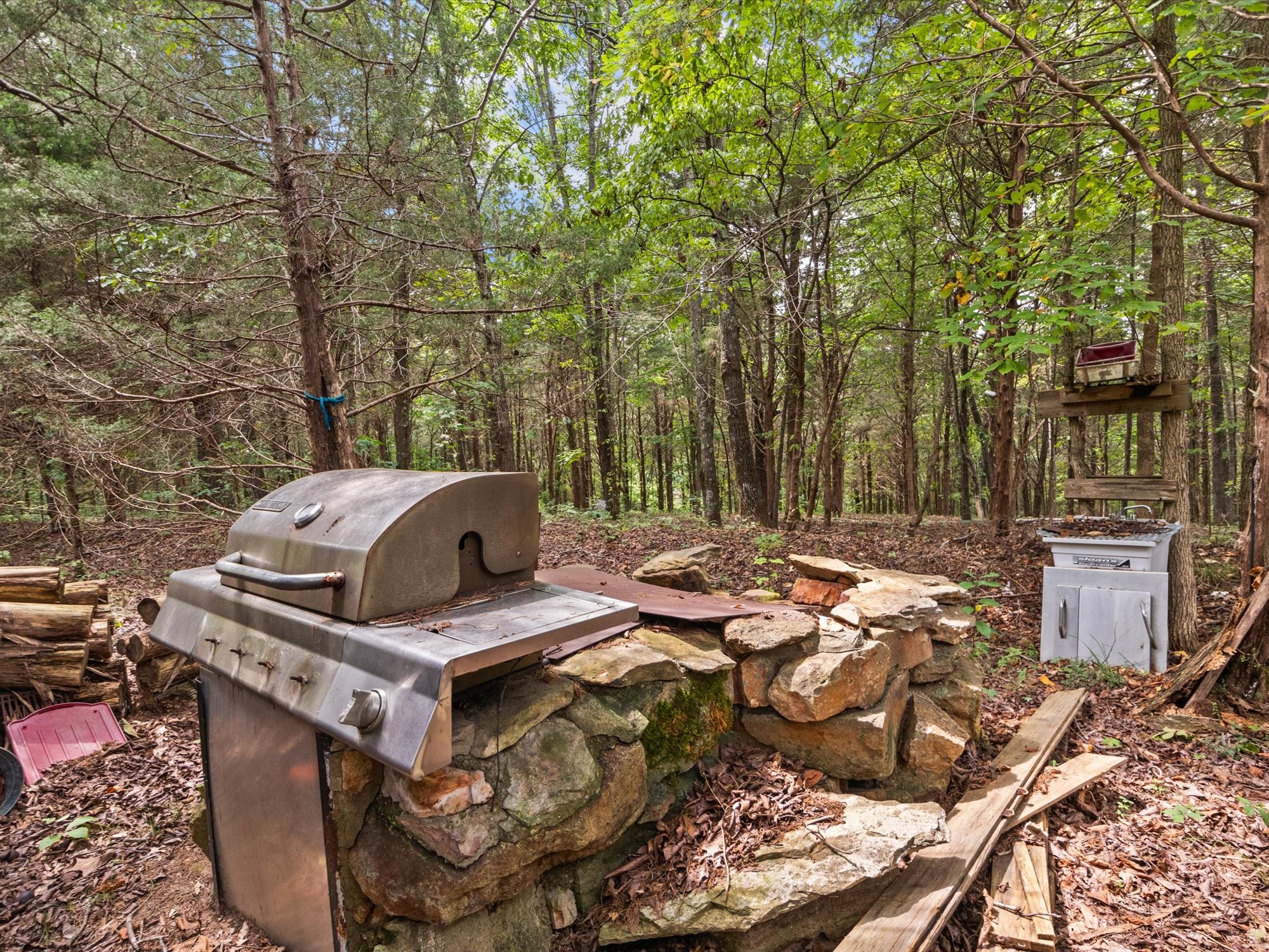 775 Coaling Road Charlotte, TN 37036 - Photo 43 of 50