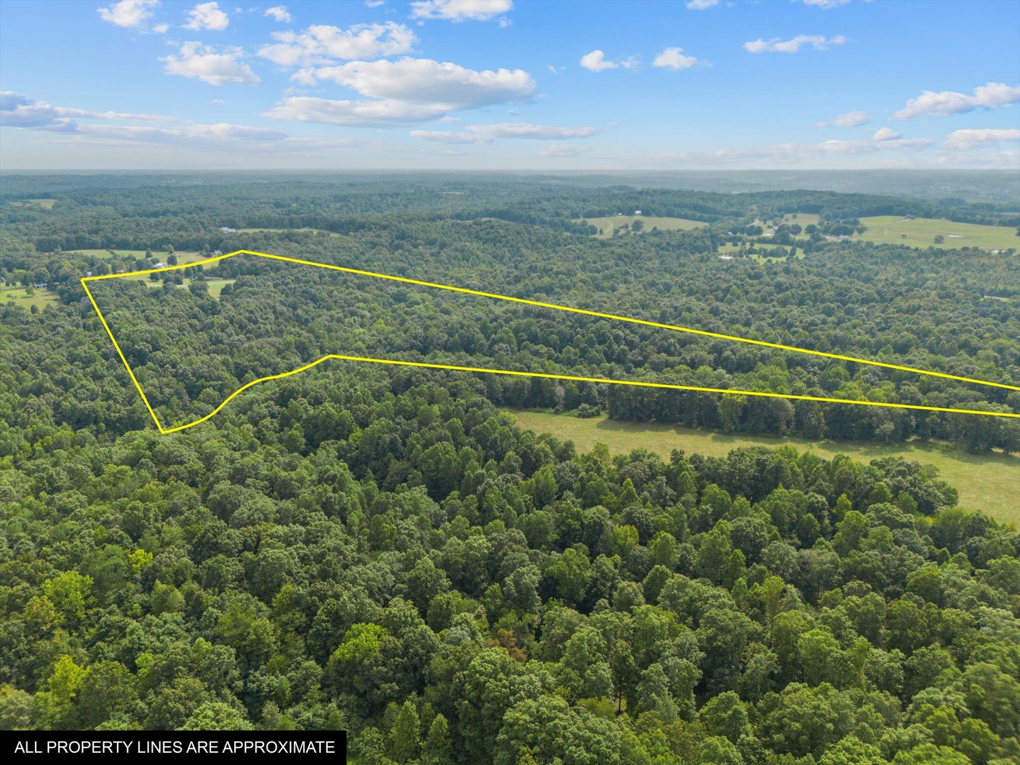 775 Coaling Road Charlotte, TN 37036 - Photo 49 of 50