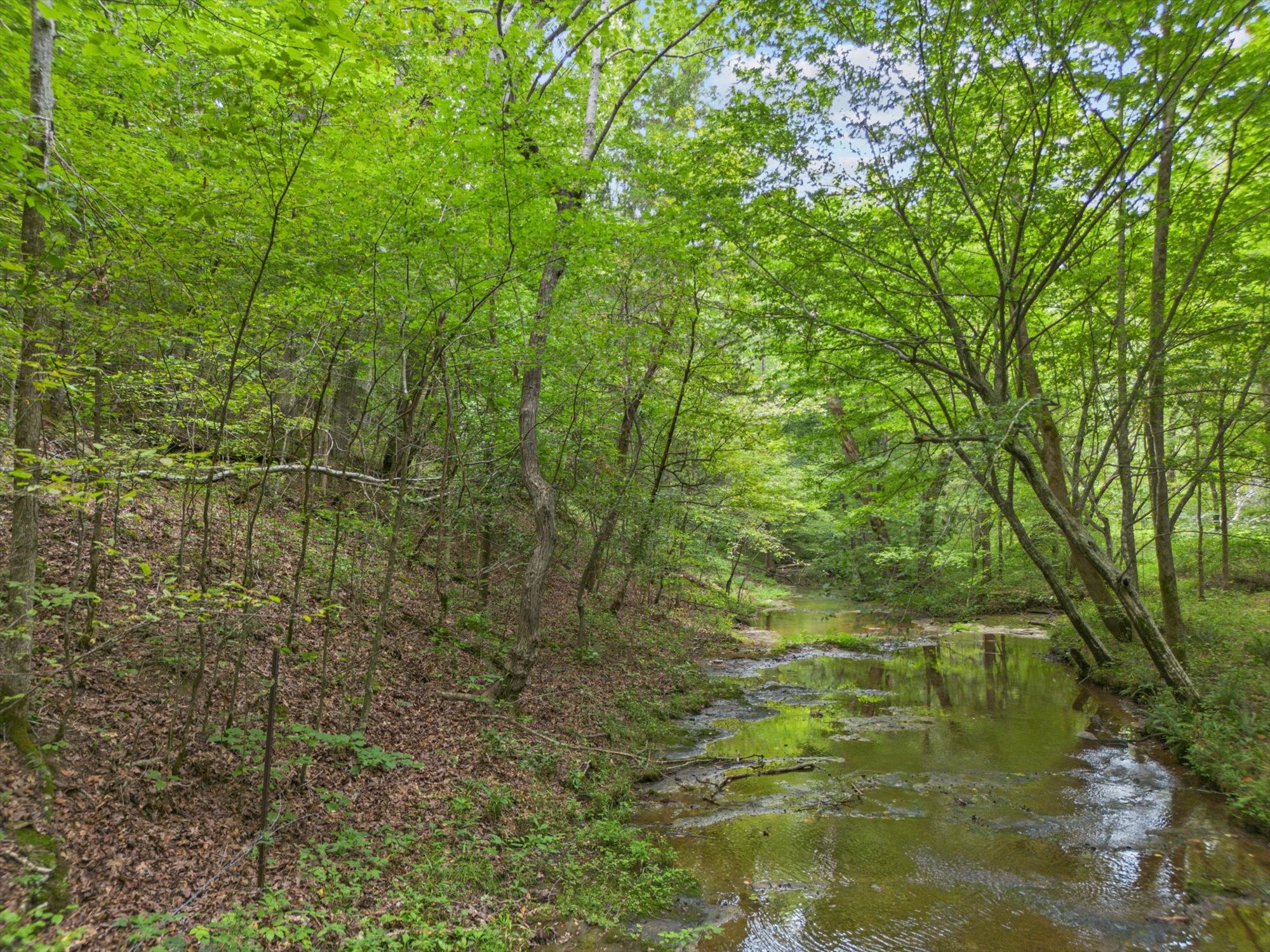 775 Coaling Road Charlotte, TN 37036 - Photo 6 of 50