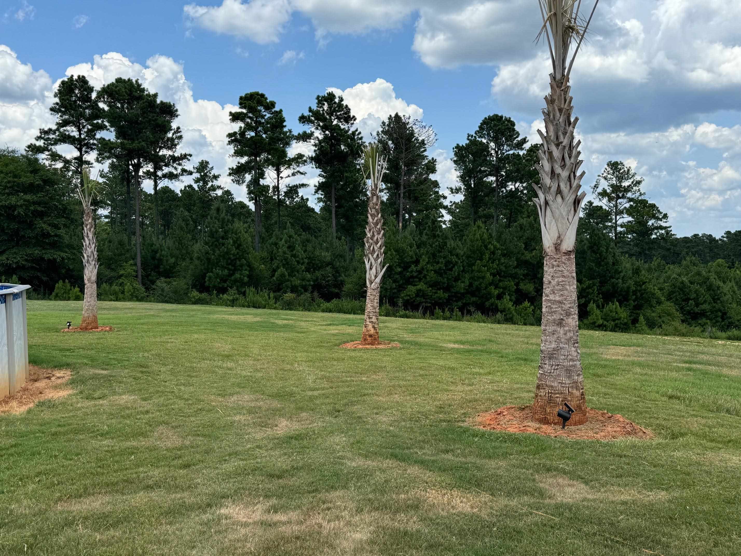 34644 T Bridge Road Red Level, AL 36474 - Photo 12 of 35 Gallery Image 12