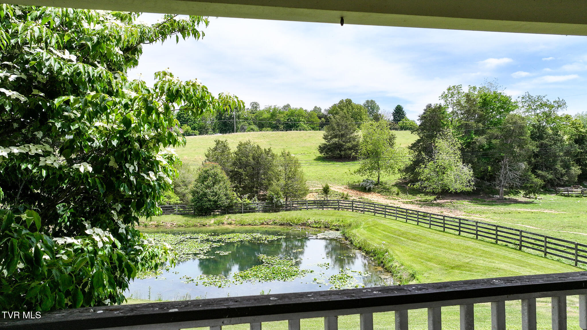 120 Jim Ford Road Jonesborough, TN 37659 - Photo 52 of 81 52