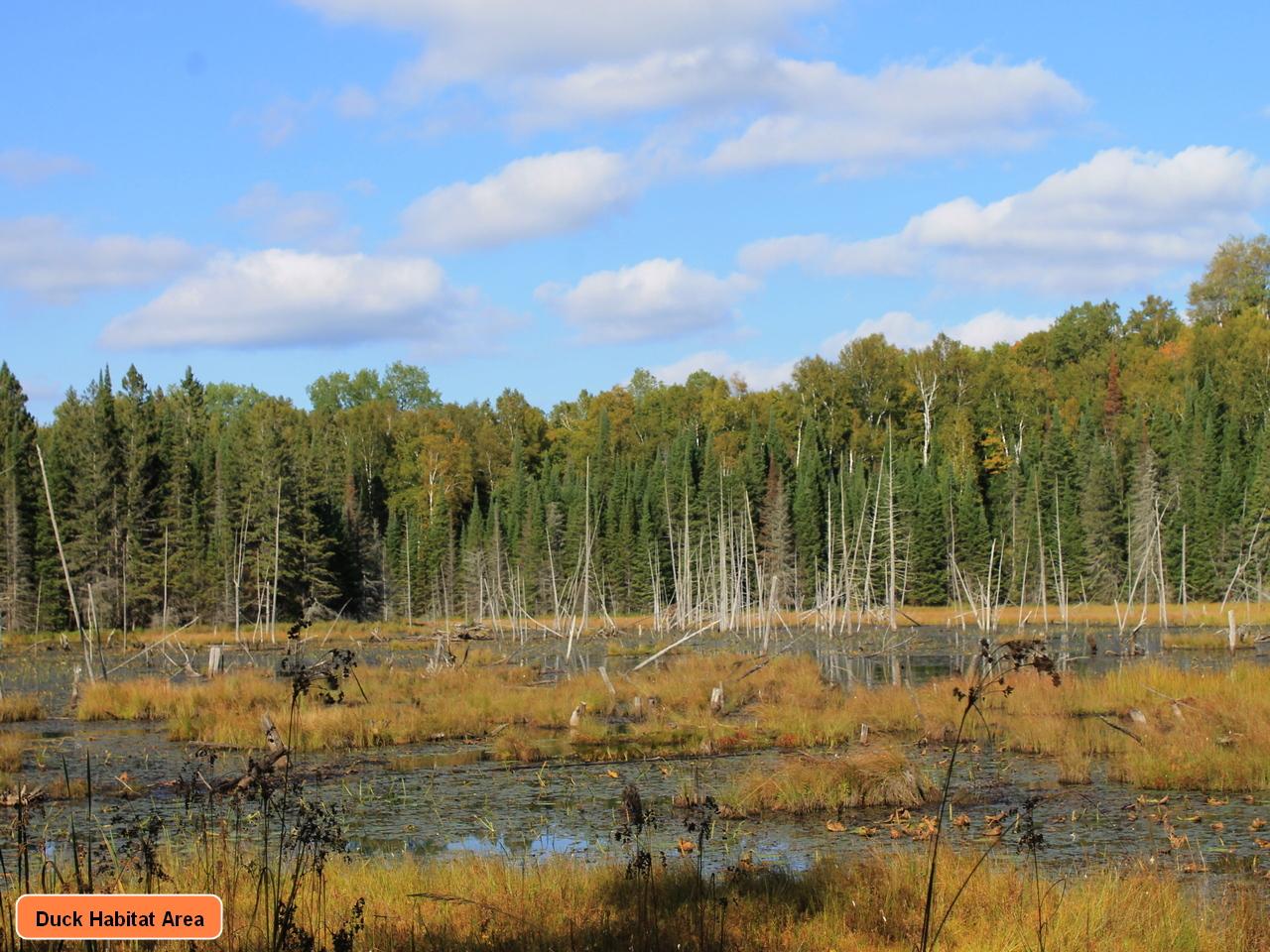7421 Tall Timbers Road Presque Isle, WI 54557 - Photo 20 of 35 Gallery Image 20