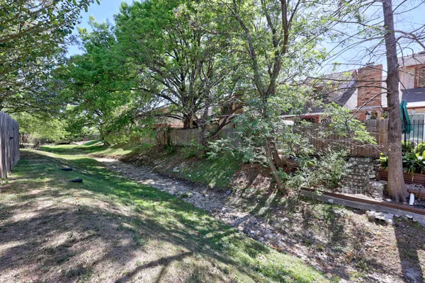 a view of a yard with plants and a large tree