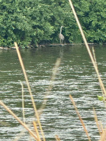 $105,000 | Salmon River Salmon River Meadows, Salmon, ID 83467