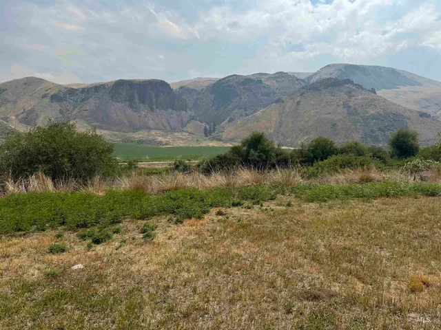 $105,000 | Salmon River Salmon River Meadows, Salmon, ID 83467