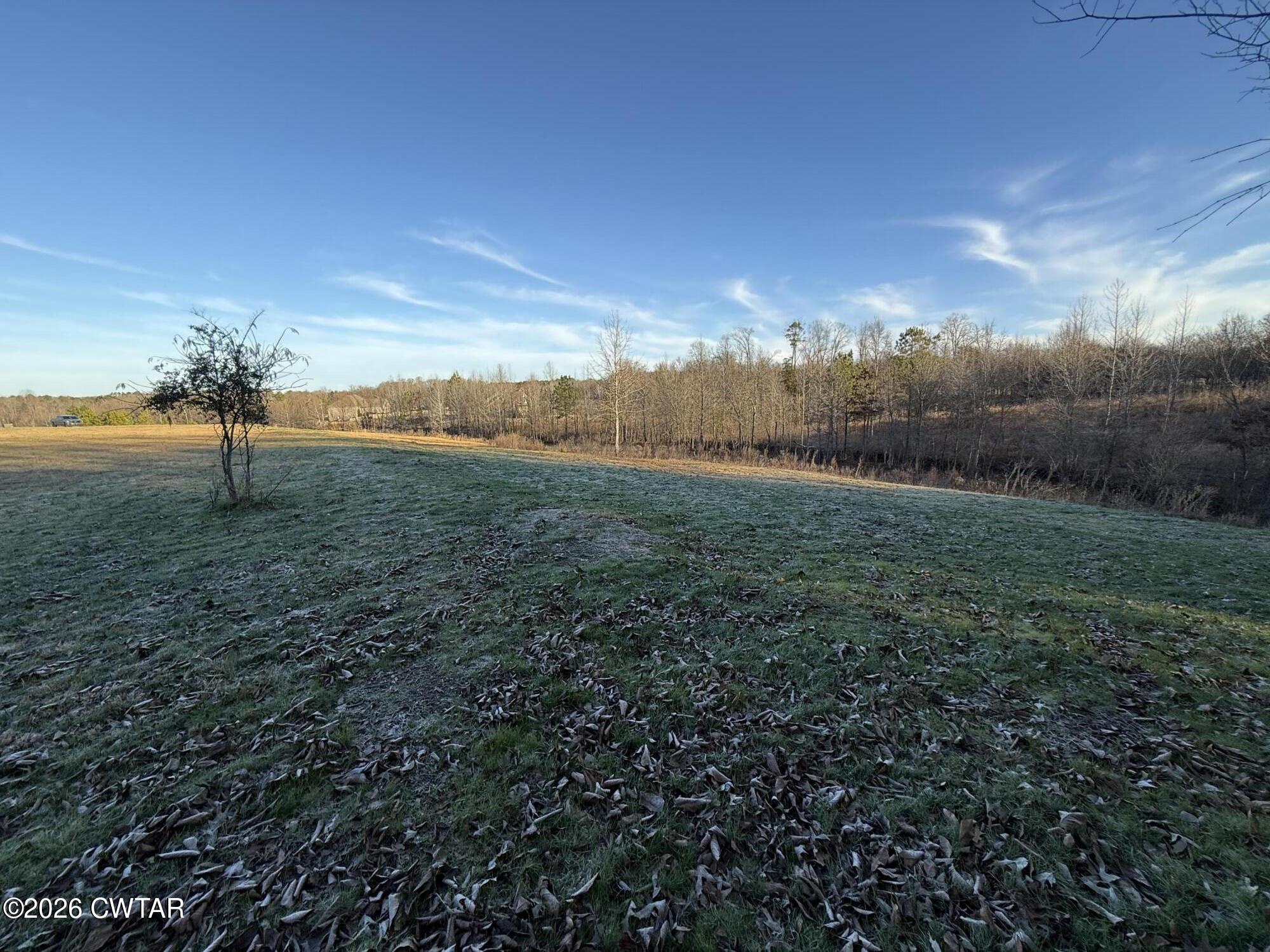 0 Ridgewood Drive Henderson, TN 38340 - Photo 11 of 26 IMG_7324