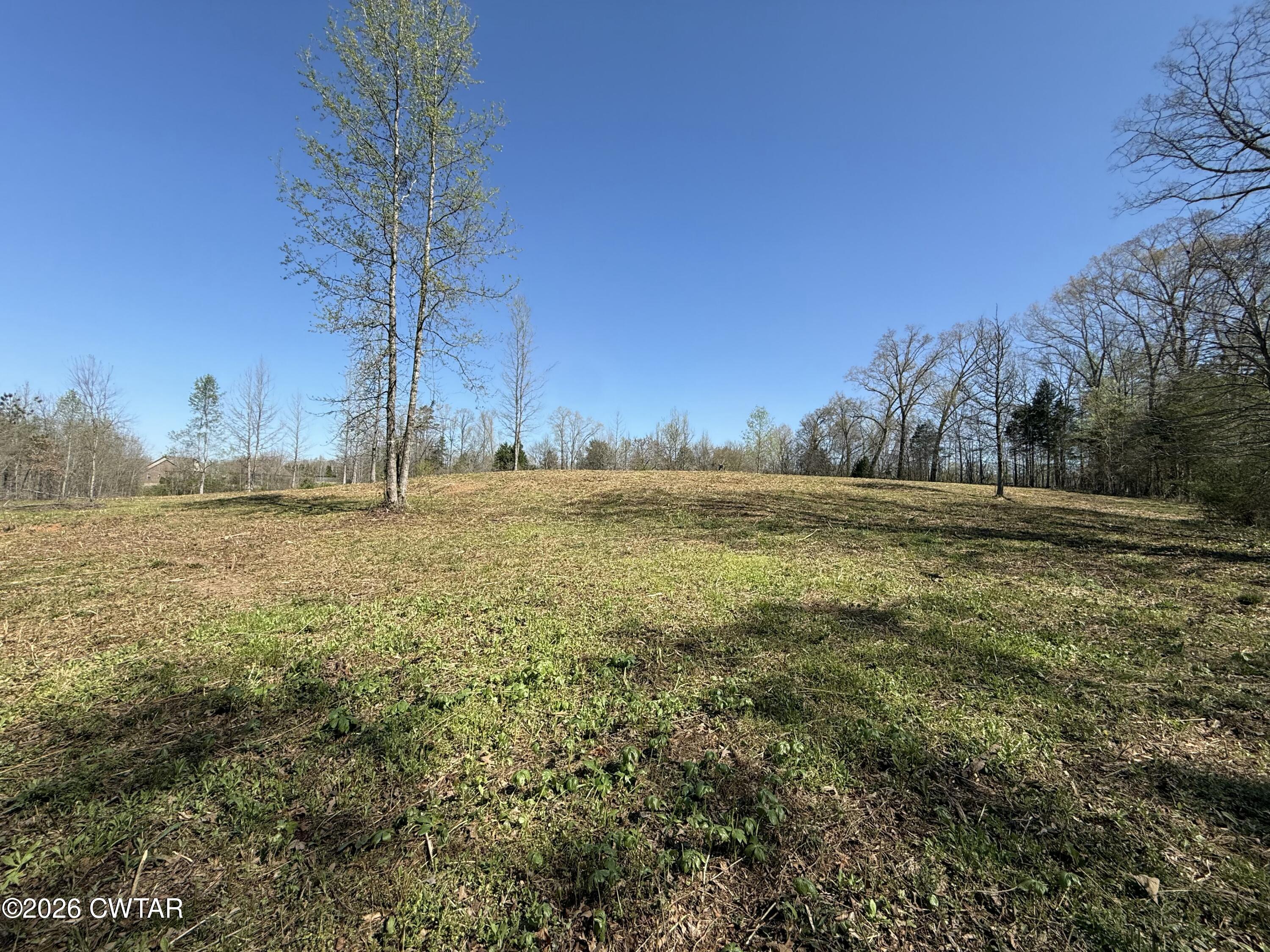 0 Ridgewood Drive Henderson, TN 38340 - Photo 15 of 26 IMG_7482