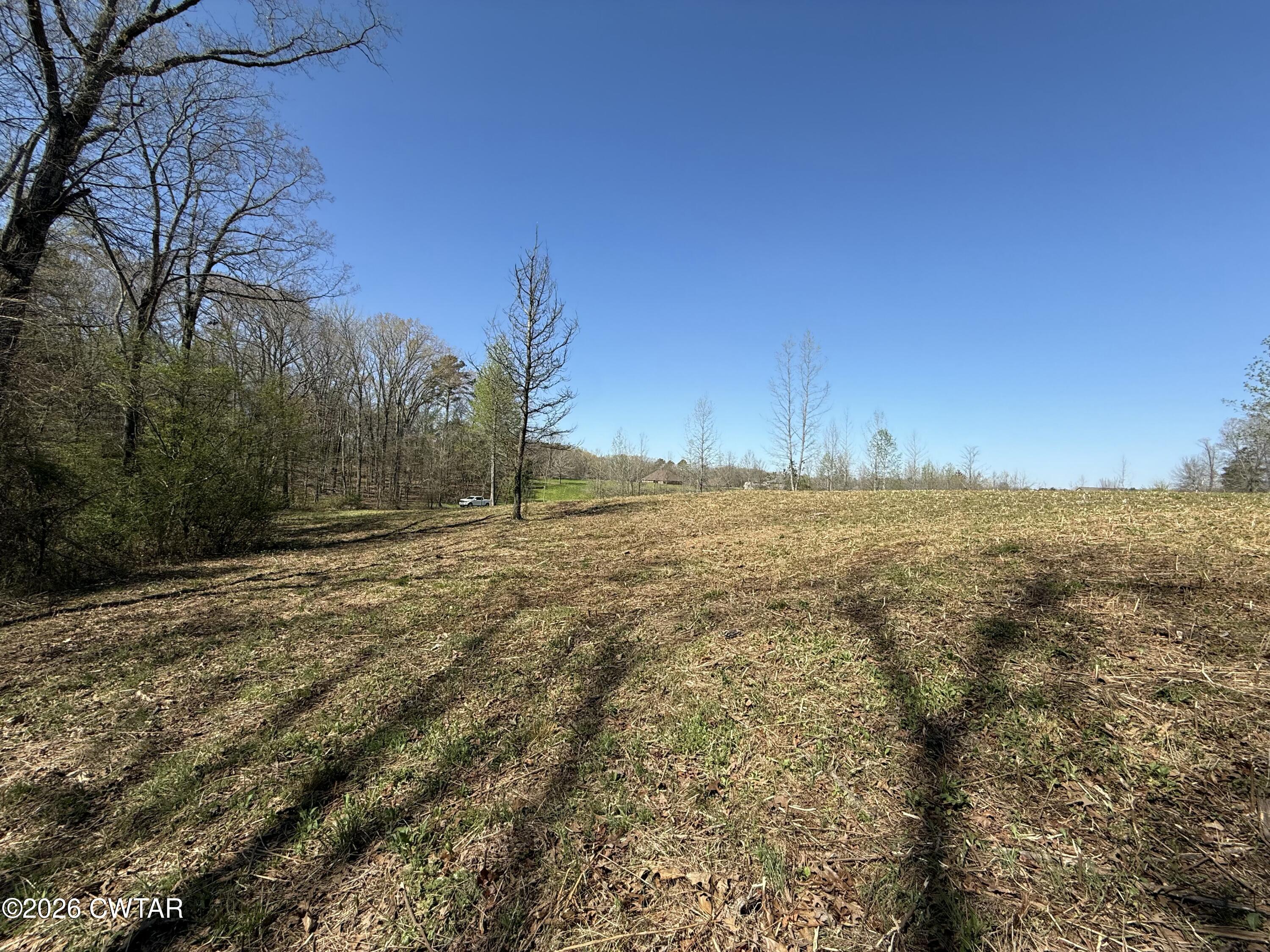 0 Ridgewood Drive Henderson, TN 38340 - Photo 18 of 26 IMG_7485