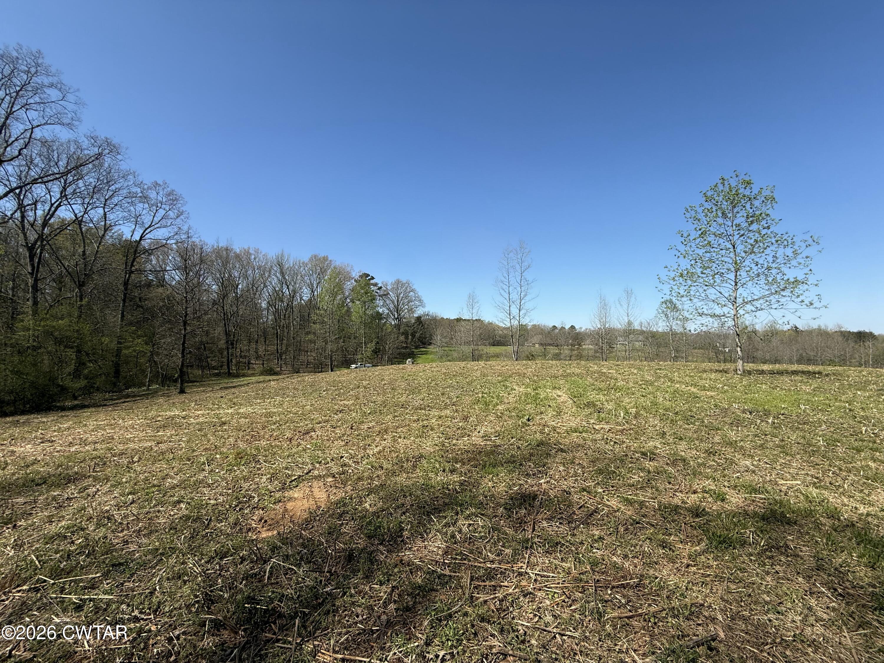 0 Ridgewood Drive Henderson, TN 38340 - Photo 19 of 26 IMG_7486
