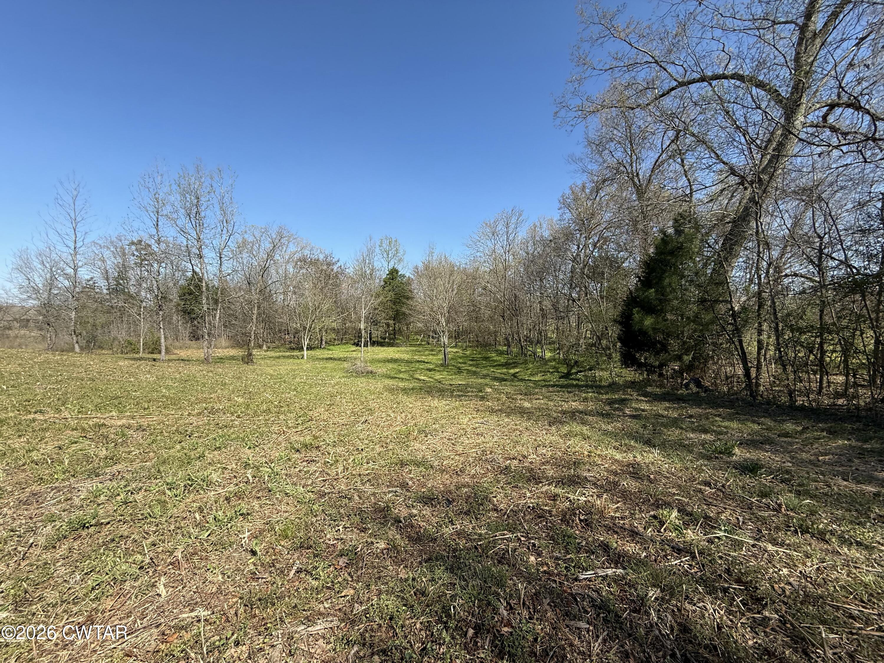 0 Ridgewood Drive Henderson, TN 38340 - Photo 20 of 26 IMG_7487