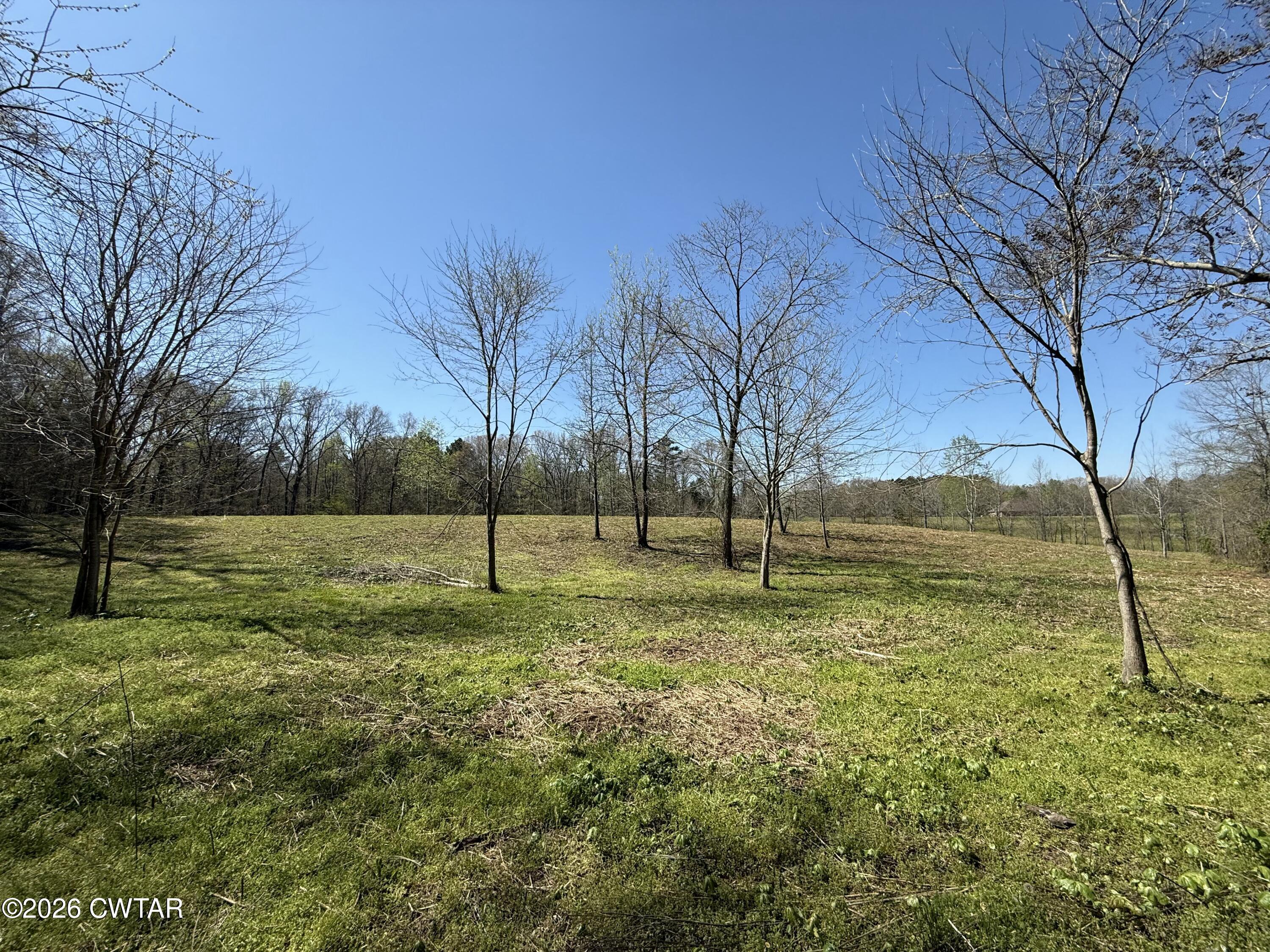 0 Ridgewood Drive Henderson, TN 38340 - Photo 21 of 26 IMG_7488