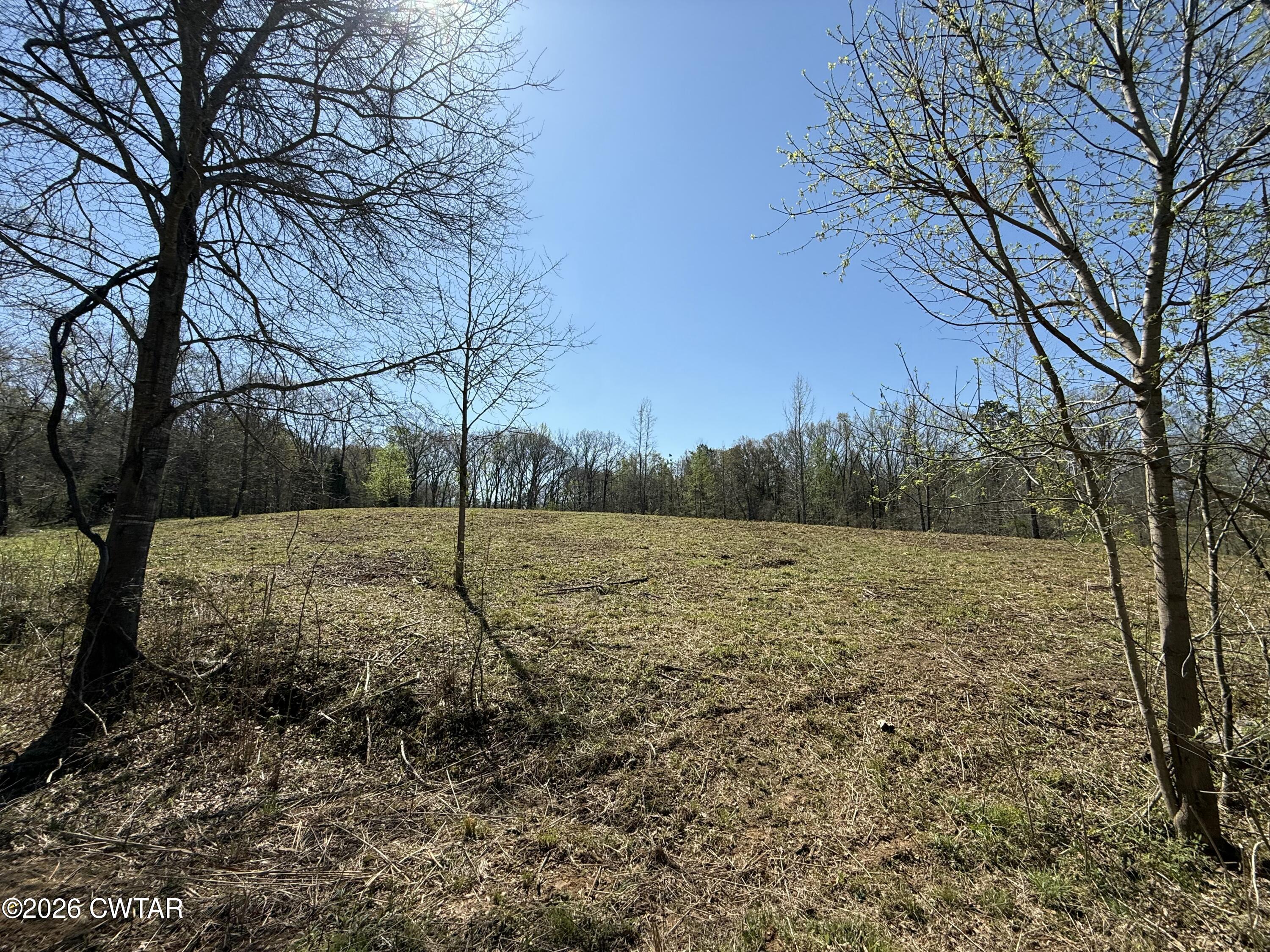 0 Ridgewood Drive Henderson, TN 38340 - Photo 22 of 26 IMG_7489