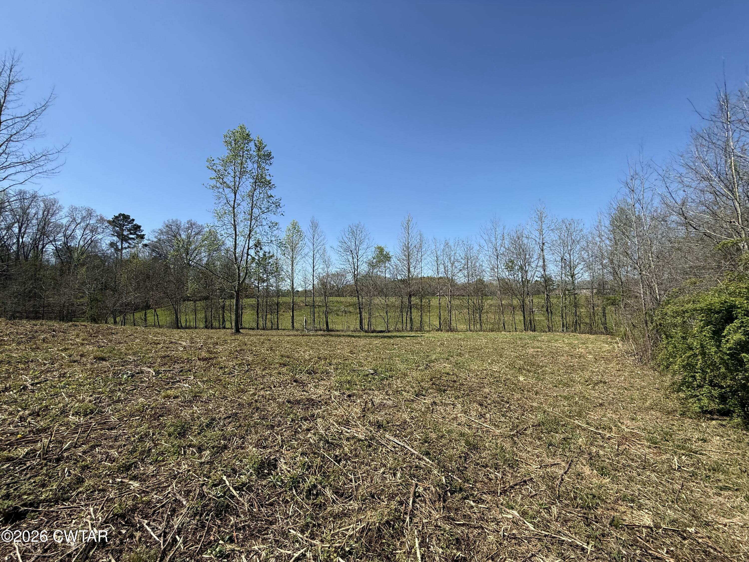 0 Ridgewood Drive Henderson, TN 38340 - Photo 23 of 26 IMG_7490