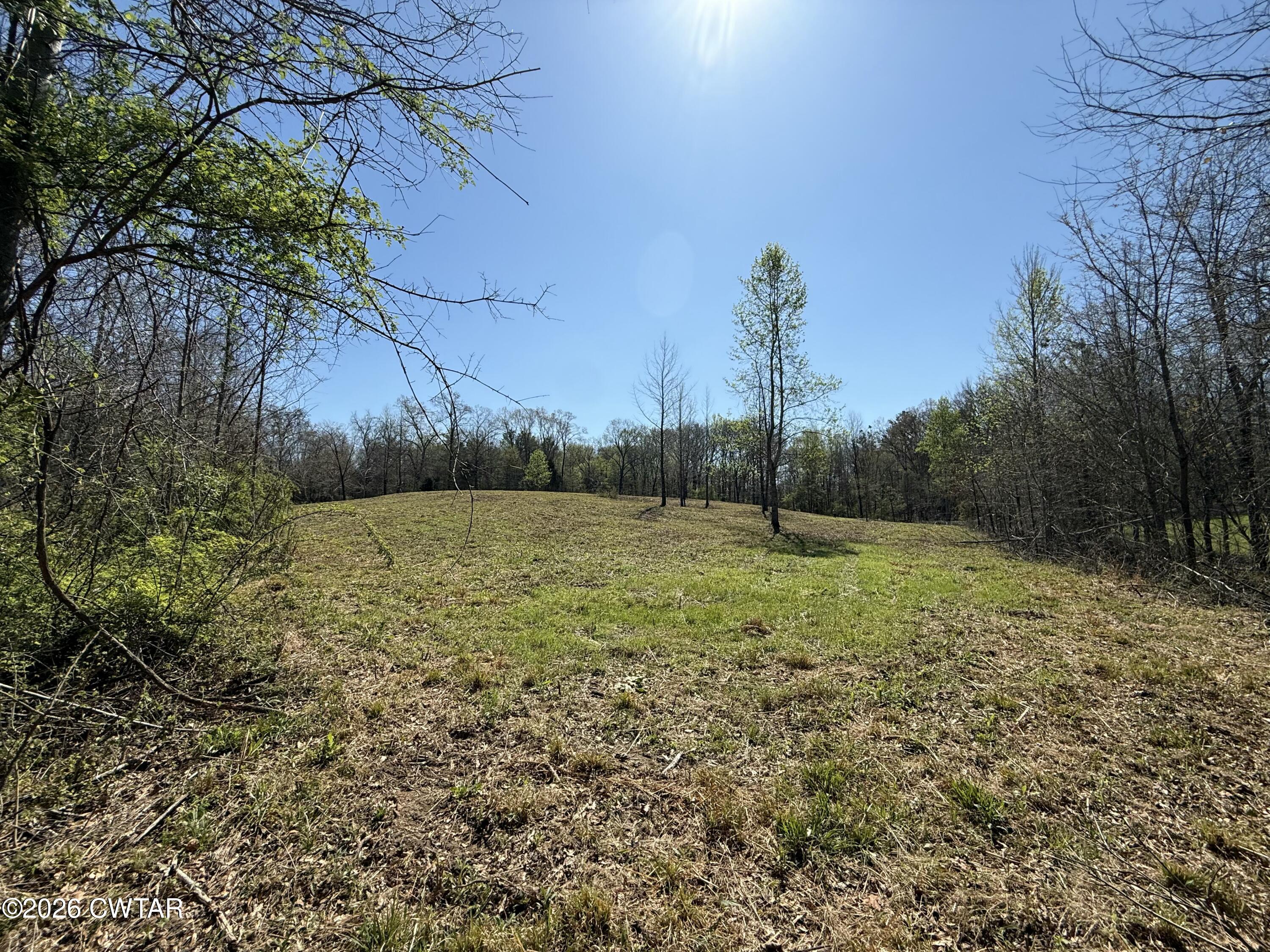 0 Ridgewood Drive Henderson, TN 38340 - Photo 24 of 26 IMG_7491