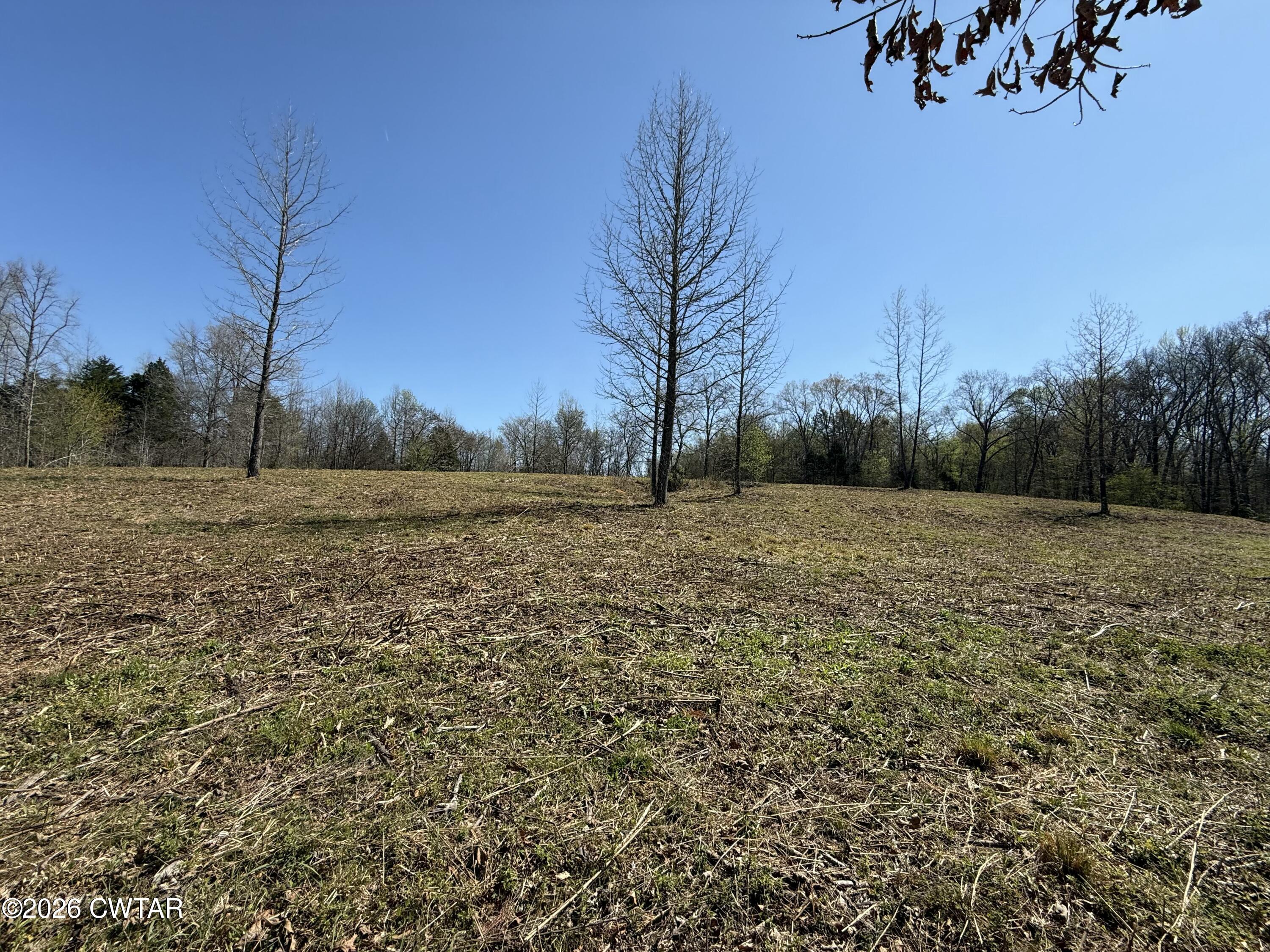 0 Ridgewood Drive Henderson, TN 38340 - Photo 25 of 26 IMG_7492