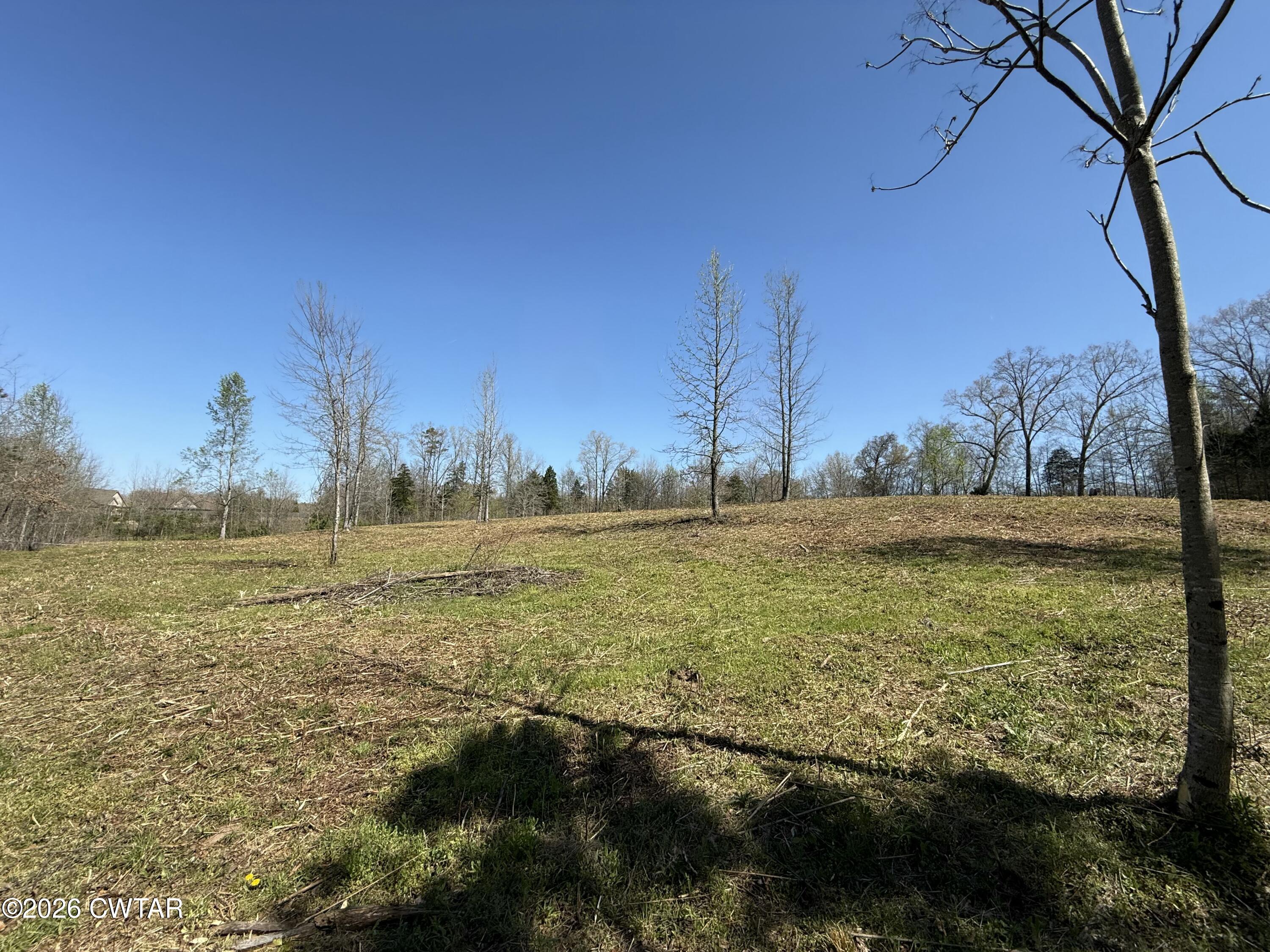 0 Ridgewood Drive Henderson, TN 38340 - Photo 26 of 26 IMG_7493