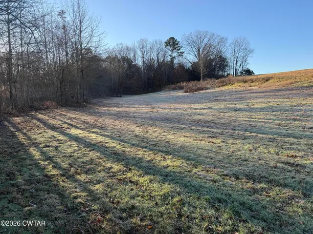 a view of dirt field with trees in the background