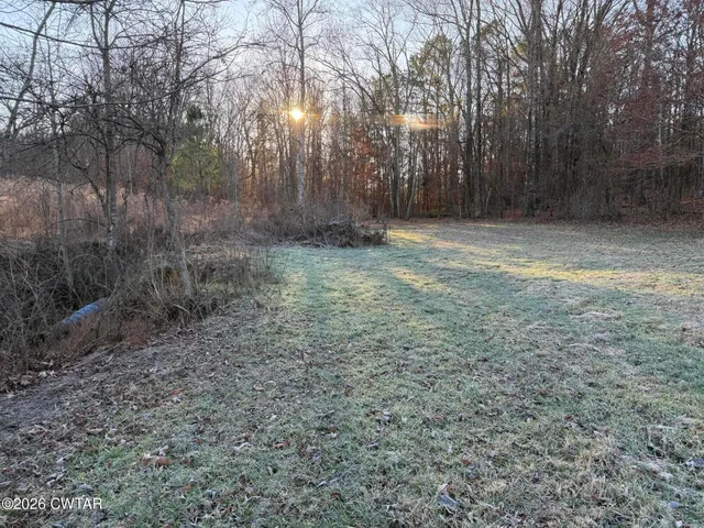 a view of a yard with trees