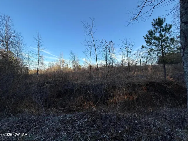 a view of outdoor space and green space