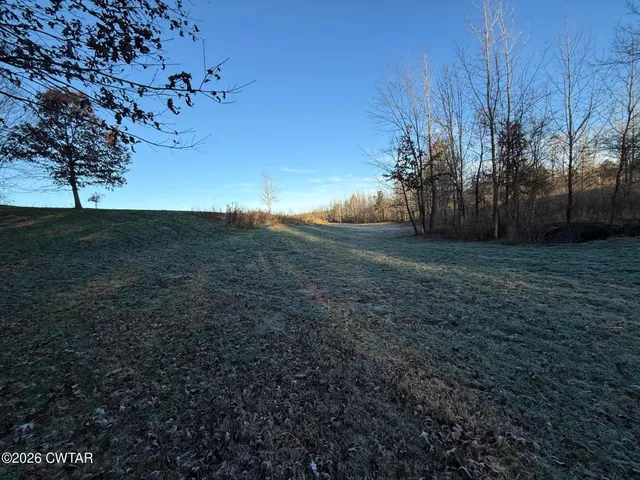 a view of a tree is standing in between the field