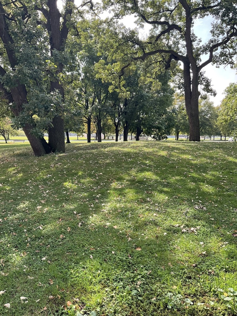 1700 East 56th Street, Unit 36093610 Chicago, IL 60637 - Photo 24 of 25