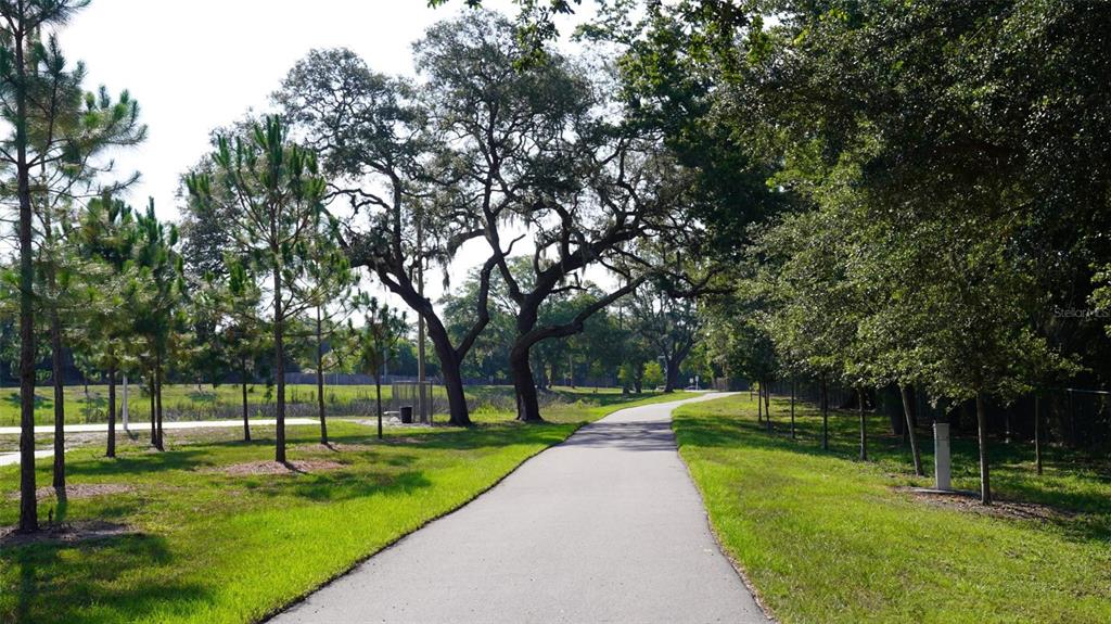 1600 Old Coachman Rd., Unit 806 Clearwater, FL 33765 - Photo 9 of 15 a view of a park with tree s