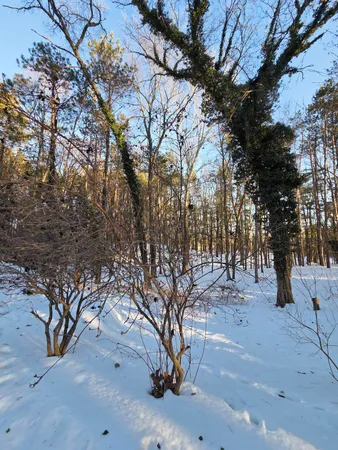 $460,000 | 109 1st Street, Plainwell, MI 49080