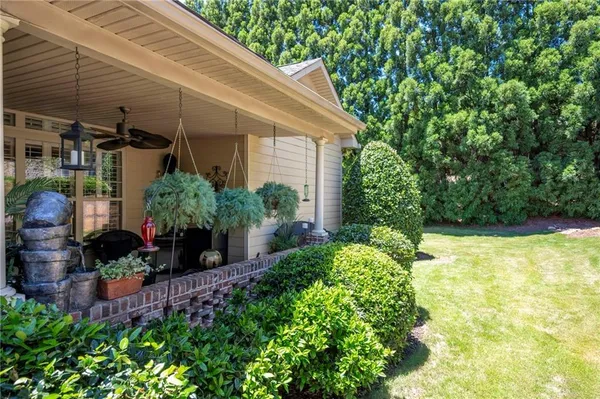 a view of a backyard with plants