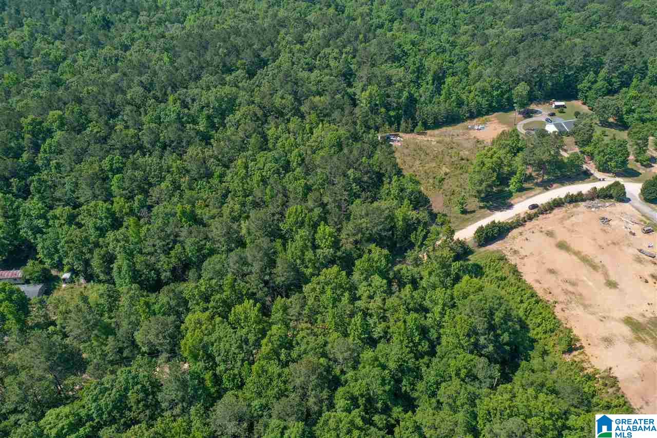 948 Old Deer Creek Road Sterrett, AL 35147 - Photo 11 of 19