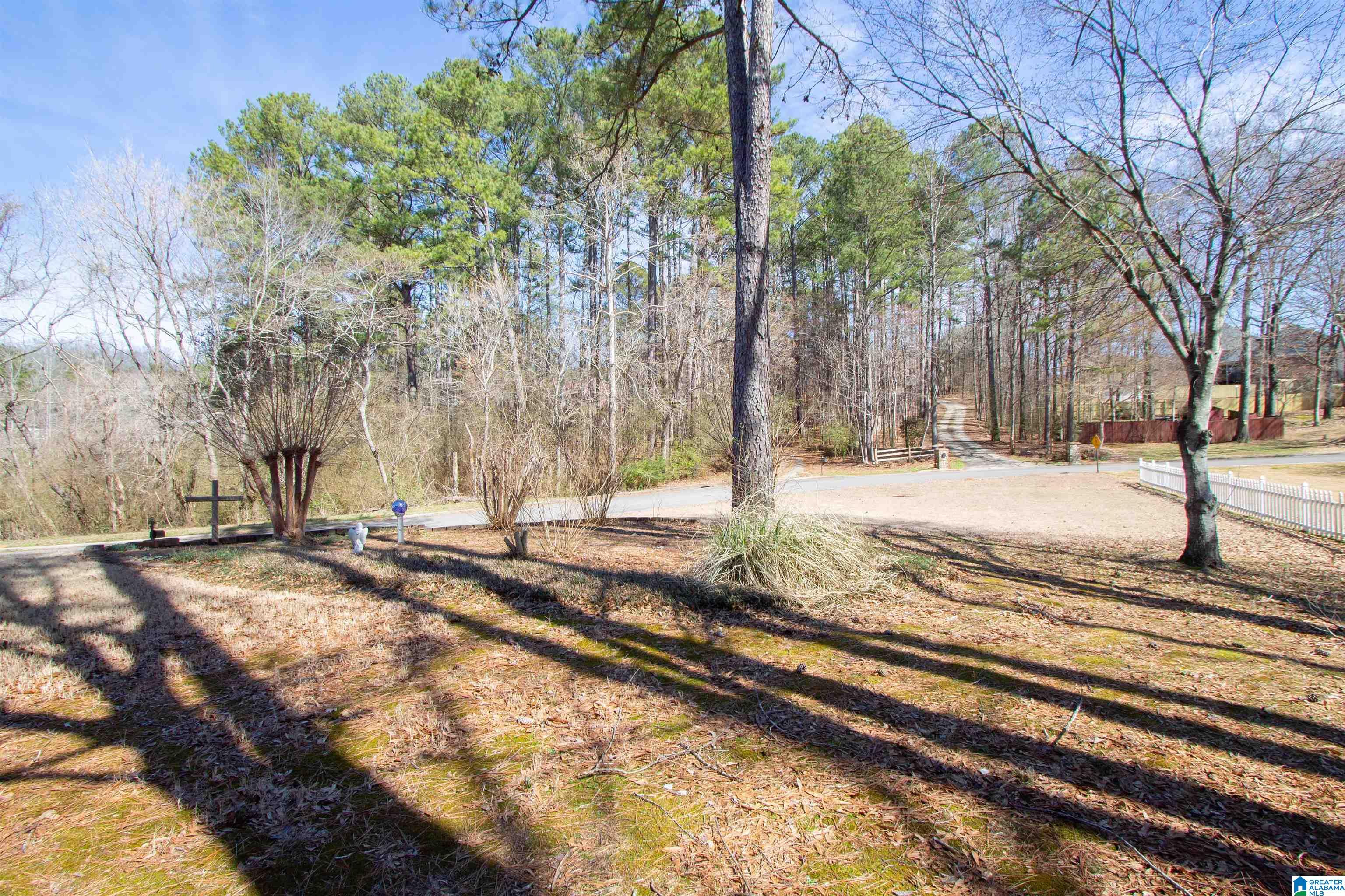63 Monarch Road Springville, AL 35146 - Photo 43 of 48