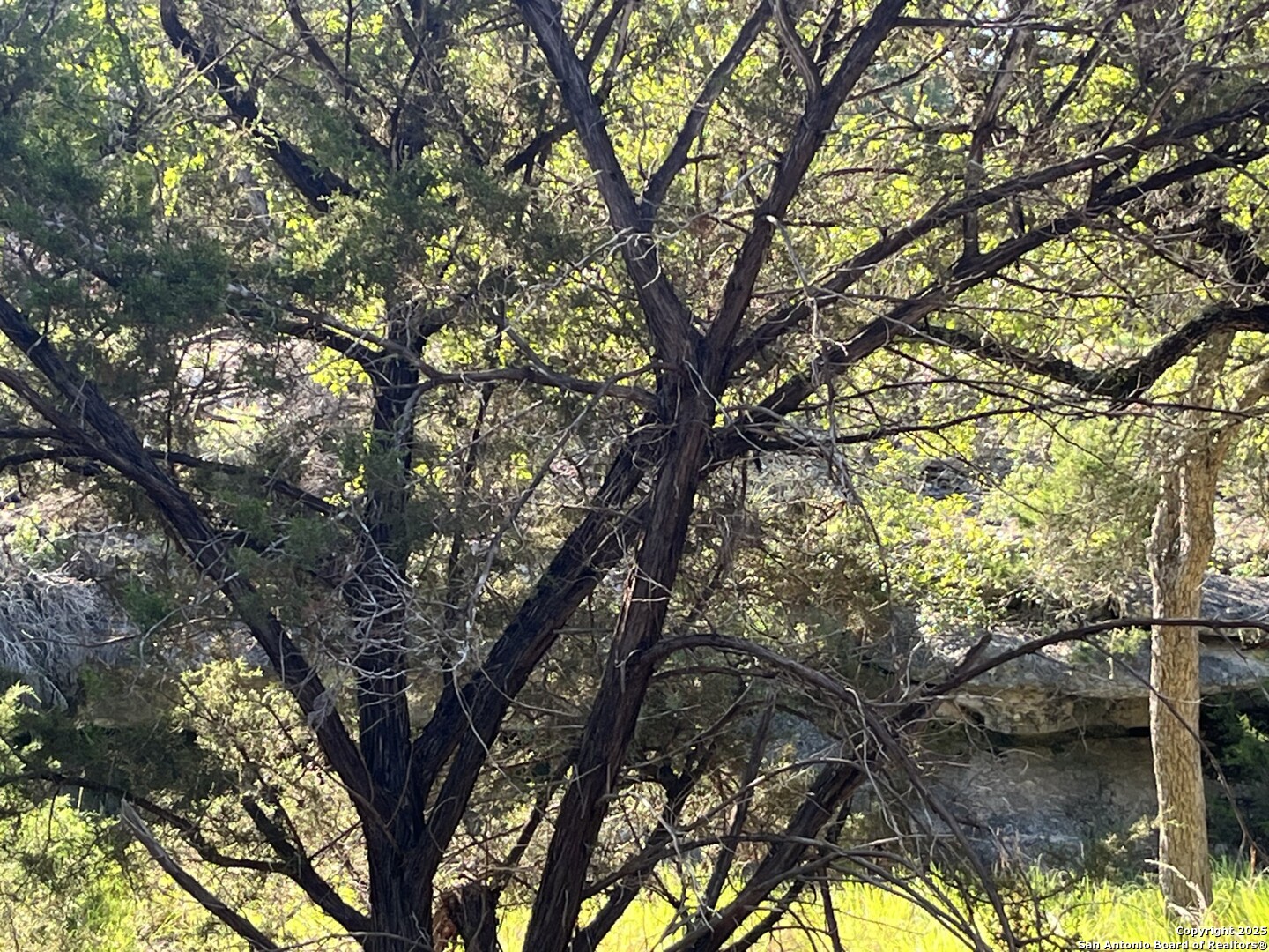 0 Rolling Creek Spring Branch, TX 78070 - Photo 12 of 22