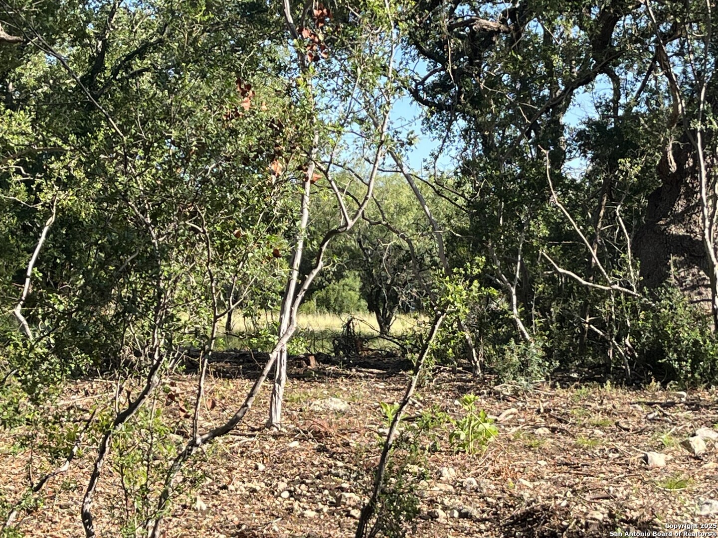 0 Rolling Creek Spring Branch, TX 78070 - Photo 13 of 22 a view of an outdoor space with a tree