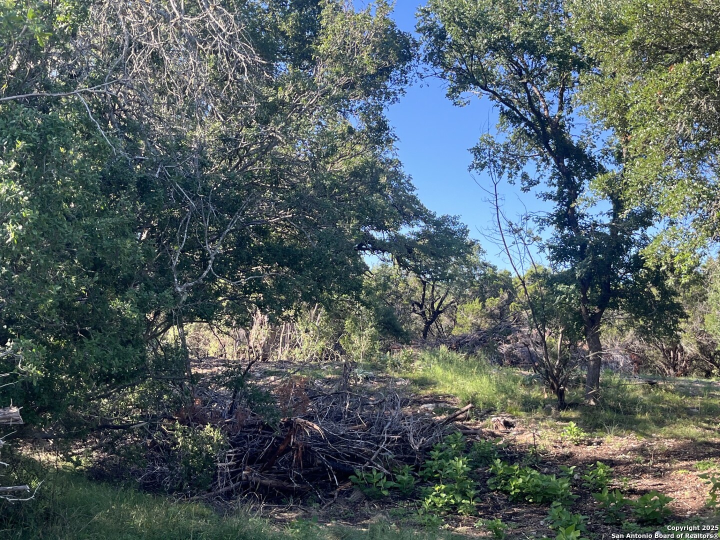 0 Rolling Creek Spring Branch, TX 78070 - Photo 15 of 22 a view of a tree in a yard