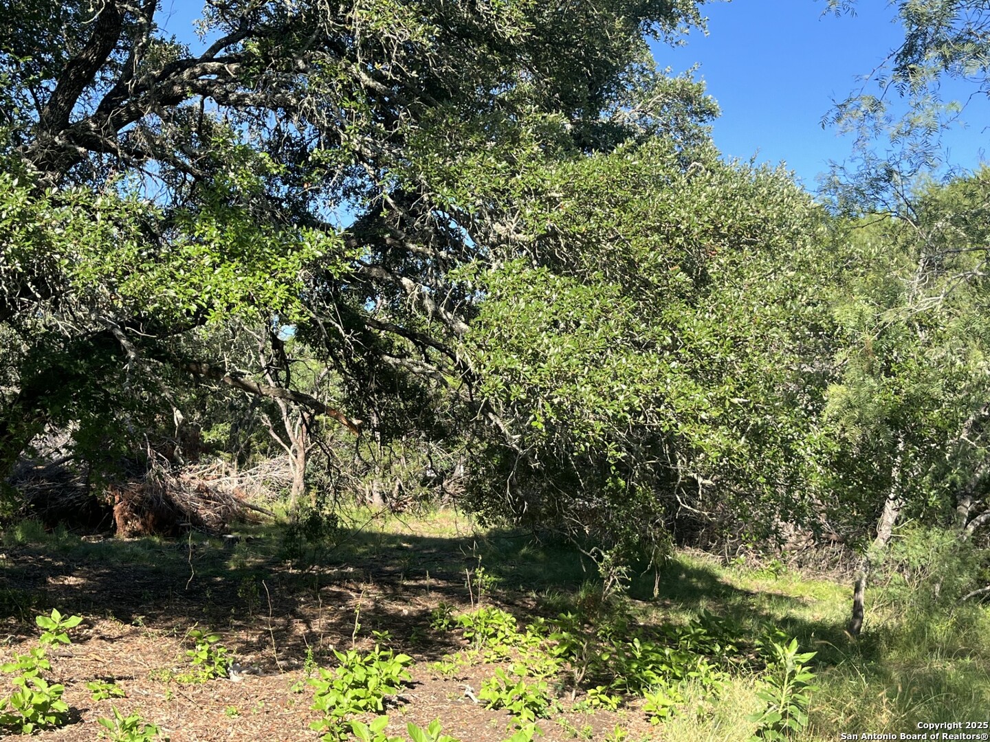 0 Rolling Creek Spring Branch, TX 78070 - Photo 16 of 22 a view of a yard