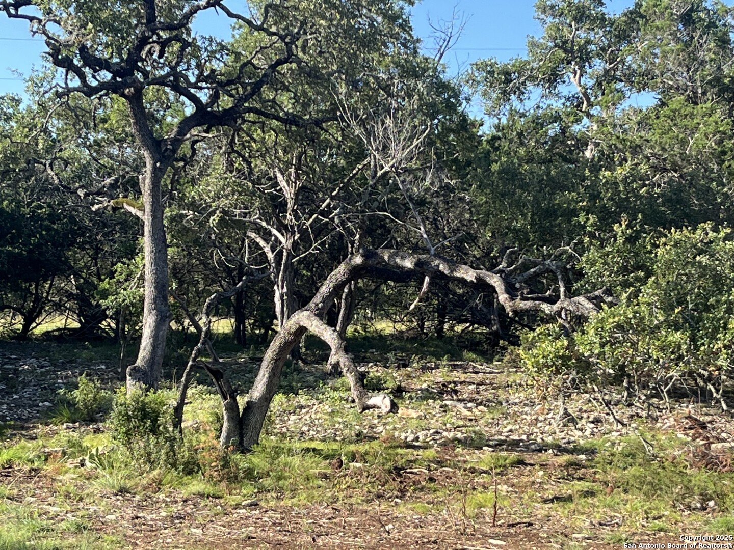 0 Rolling Creek Spring Branch, TX 78070 - Photo 18 of 22 a backyard of a house with lots of green space