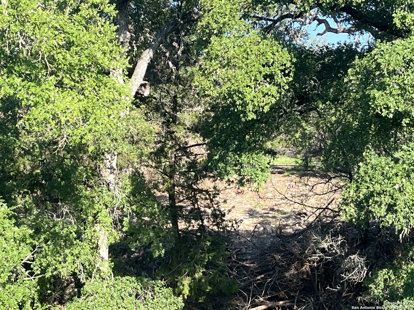 0 Rolling Creek Spring Branch, TX 78070 - Photo 20 of 22 a view of a tree in a yard